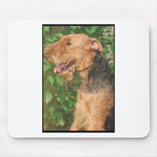 Airedale Terrier Muismat (Voorkant)