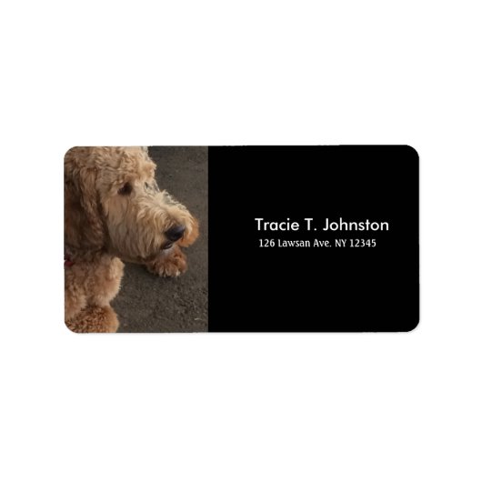 Airedale Terrier Nieuw Adres Etiket (Voorkant)