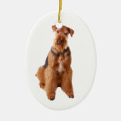 Airedale Terrier Ornament (Voorkant)