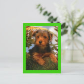 Airedale Terrier Puppy Dog Green Briefkaart (Staand voorkant)