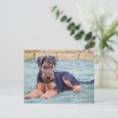 Airedale Terrier Puppy Dog Green Briefkaart (Staand voorkant)