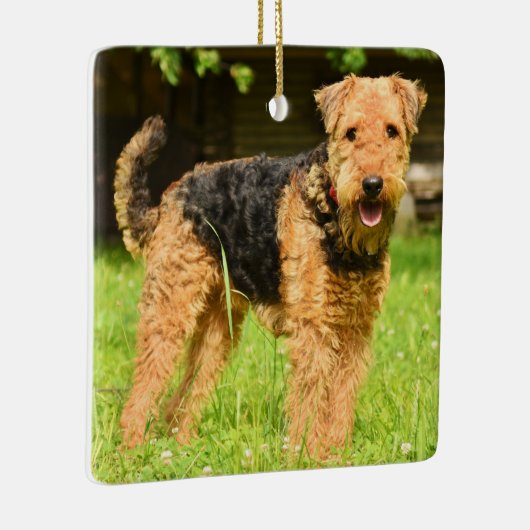 Airedale Terrier Puppy Dog Keramisch Ornament (Rechts)