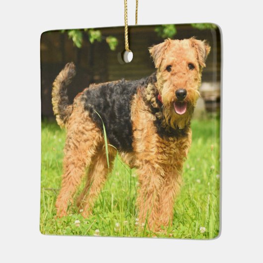 Airedale Terrier Puppy Dog Keramisch Ornament (Links)
