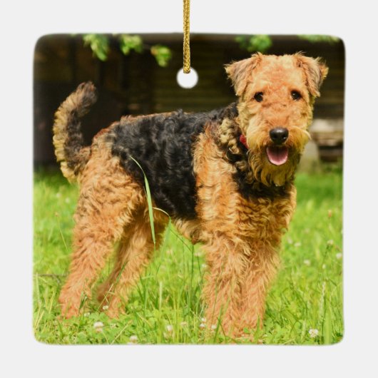 Airedale Terrier Puppy Dog Keramisch Ornament (Achterkant)