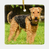 Airedale Terrier Puppy Dog Keramisch Ornament (Voorkant)