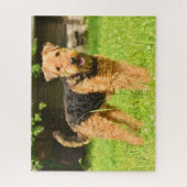 Airedale Terrier Puppy Dog Legpuzzel (Verticaal)