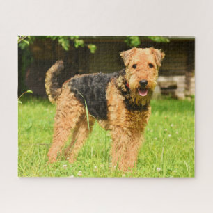 Airedale Terrier Puppy Dog Legpuzzel