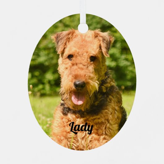 Airedale Terrier Puppy Dog Metalen Ornament (Achterkant)