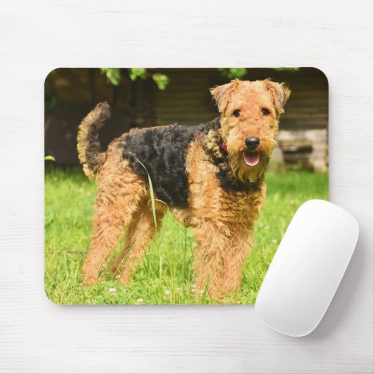 Airedale Terrier Puppy Dog Muismat (Met muis)