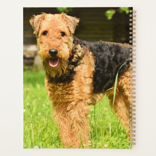 Airedale Terrier Puppy Dog Planner (Achterkant)