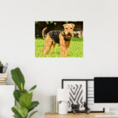 Airedale Terrier Puppy Dog Poster (Thuiskantoor)