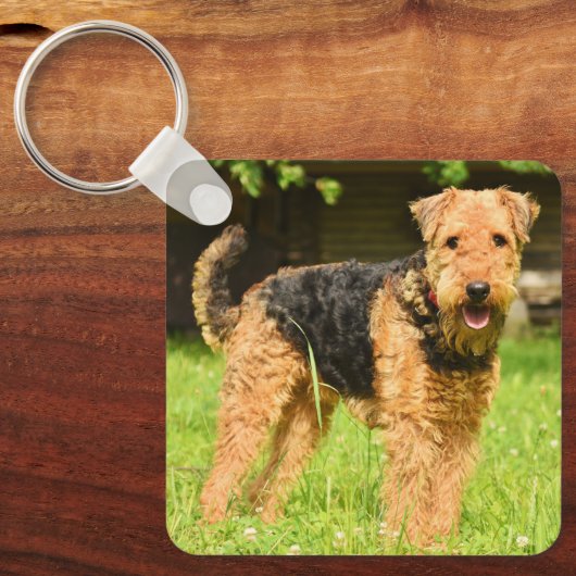 Airedale Terrier Puppy Dog Sleutelhanger (Voorkant)