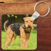 Airedale Terrier Puppy Dog Sleutelhanger (Achterkant)