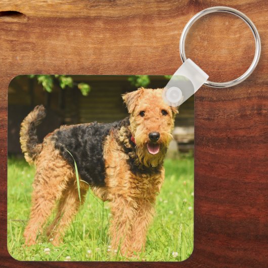 Airedale Terrier Puppy Dog Sleutelhanger (Achterkant)