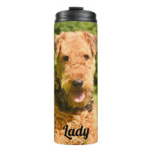 Airedale Terrier Puppy Dog