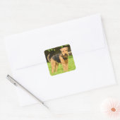 Airedale Terrier Puppy Dog Vierkante Sticker (Envelop)