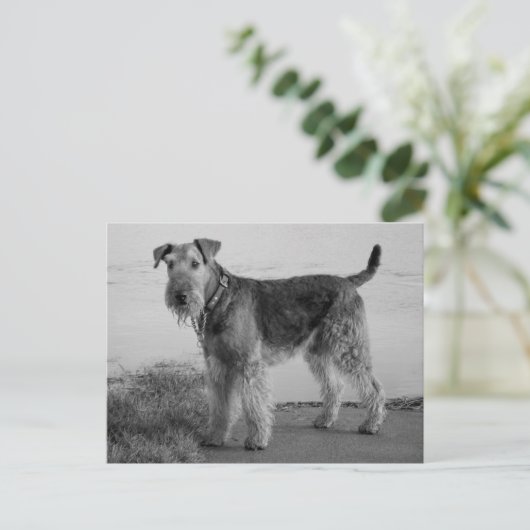 Airedale Terrier Puppy Dog Zwart & Wit Briefkaart (Staand voorkant)