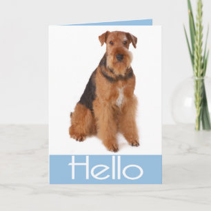 Airedale Terrier Puppy Honden Wenskaart - Vers Kaart