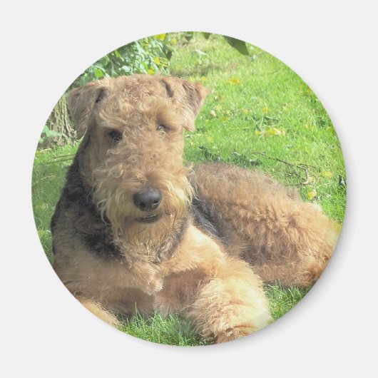 Airedale Terrier ronde magneet (Voorkant)
