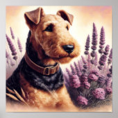  Airedale Terrier schilderij Poster (Voorkant)