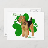 Airedale Terrier St Paddy Briefkaart (Voorkant / Achterkant)