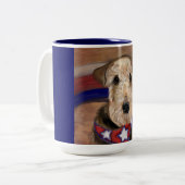 AIREDALE TERRIER TWEEKLEURIGE KOFFIEMOK (Voorkant links)