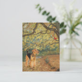 Airedale Terrier Vogels Kijken Briefkaart (Staand voorkant)