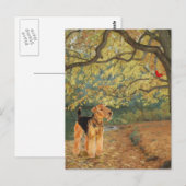 Airedale Terrier Vogels Kijken Briefkaart (Voorkant / Achterkant)
