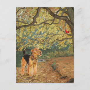 Airedale Terrier Vogels Kijken Briefkaart