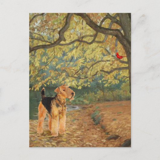 Airedale Terrier Vogels Kijken Briefkaart (Voorkant)