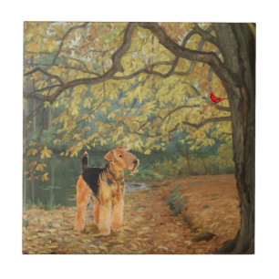 Airedale Terrier Vogels Kijken Tegeltje