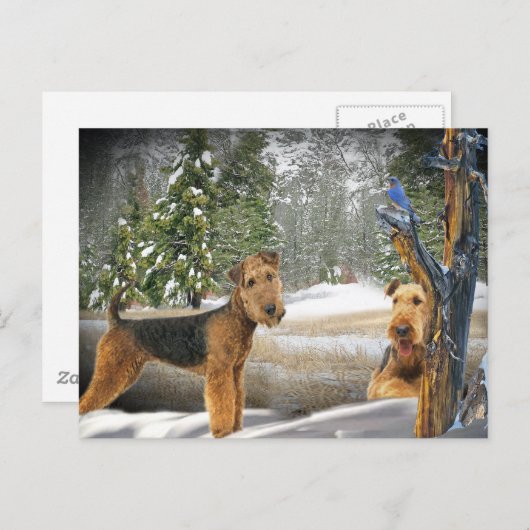Airedale Terrier Winter Day-geschenken Briefkaart (Voorkant / Achterkant)