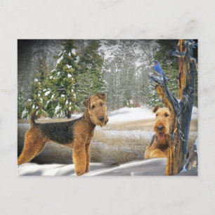 Airedale Terrier Winter Day-geschenken Briefkaart