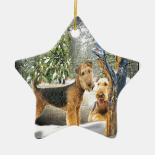 Airedale Terrier Winter Day-geschenken Keramisch Ornament