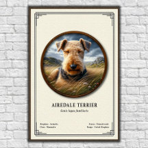 Airedale Terrier Zoologie Serie