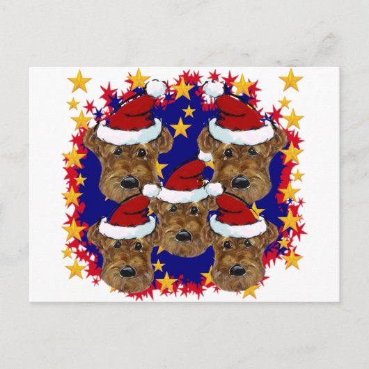 AIREDALE TERRIËRS BRIEFKAART (Voorkant)