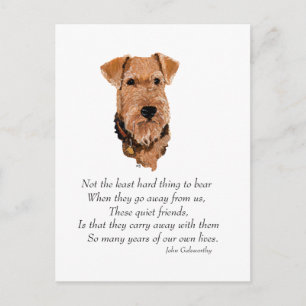 Airedale, Welsh, Lakeland Terrier Aandenken Briefkaart