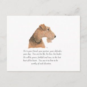 Airedale, Welsh, Lakeland Terrier Aandenken Briefkaart