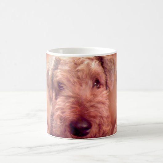 AiredaleTerrier-Mok Koffiemok (Center)