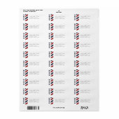 Airmail met het Etiket van het Adres van de Terugk (Full Sheet)