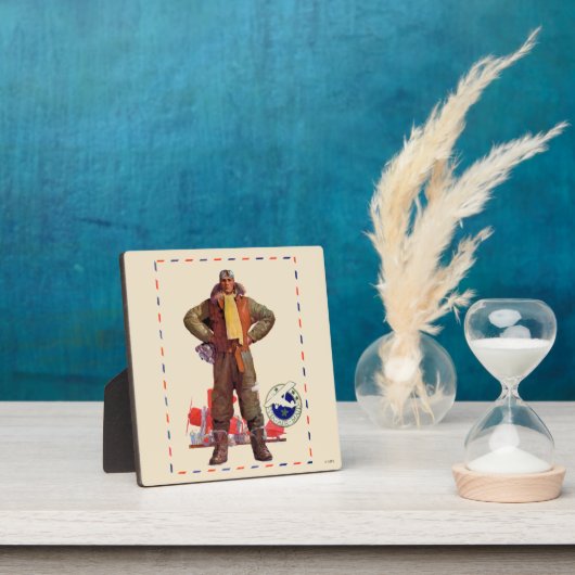 Airmail Pilot Fotoplaat (Insitu)