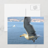 Airmail Seagull Briefkaart (Voorkant / Achterkant)