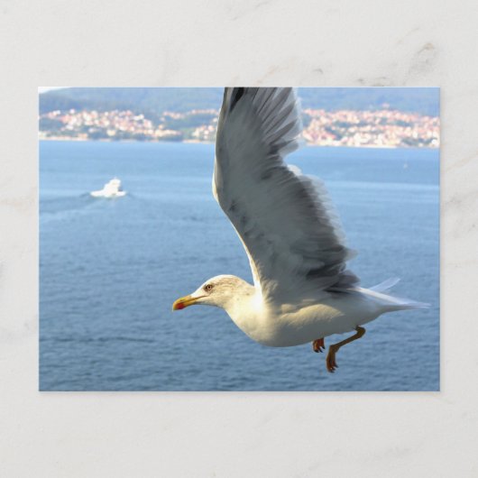 Airmail Seagull Briefkaart (Voorkant)