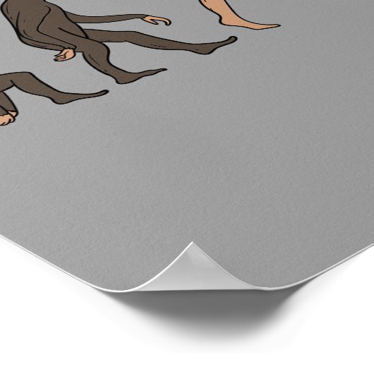 Airplane Mechanic Evolution Engineer Poster (Hoek)