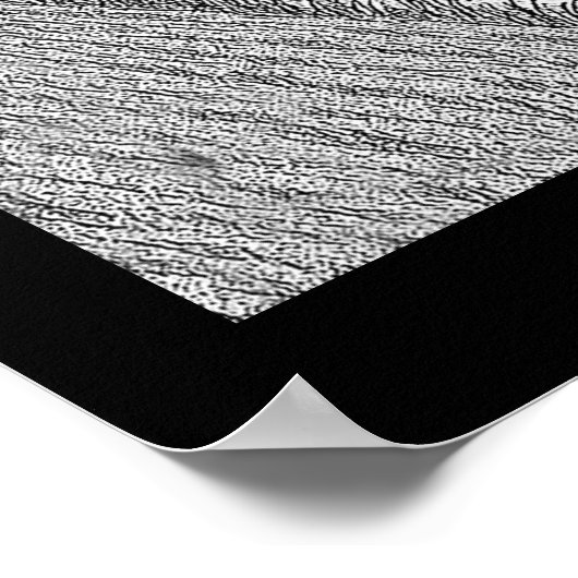 airplane poster (Hoek)