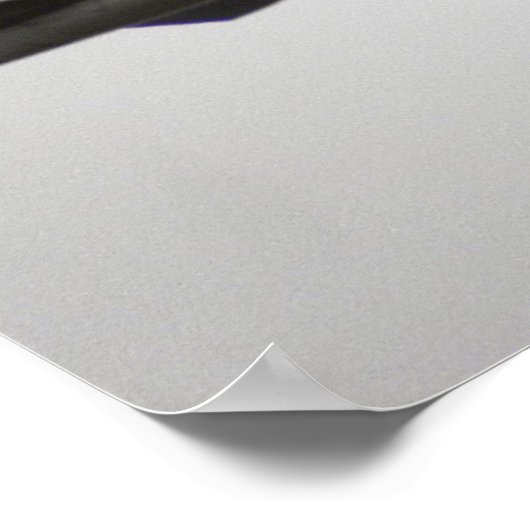 AirPlane Poster (Hoek)