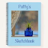 Airplant in Window Sketchbook Notitieboek (Voorkant)
