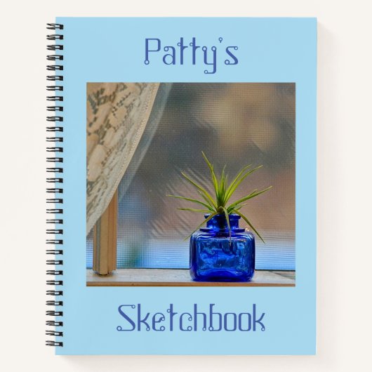 Airplant in Window Sketchbook Notitieboek (Voorkant)