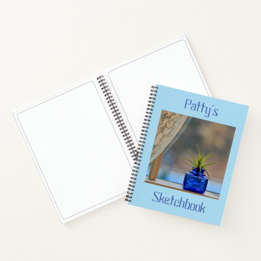 Airplant in Window Sketchbook Notitieboek (Binnen)