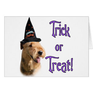 Airredale Terrier Trick